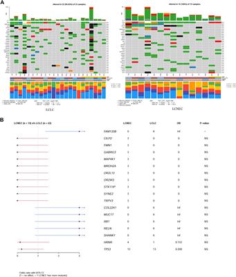 Whole-genome characterization of large-cell lung carcinoma: A comparative analysis based on the histological classification